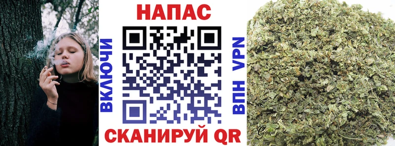 Что такое Гремячинск Бошки Шишки АМФЕТАМИН Псилоцибиновые грибы Кокаин omg tor Мефедрон