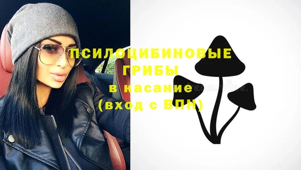 таблы Бородино